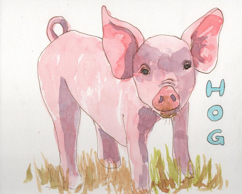 Hog