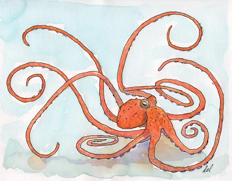 Octopus
